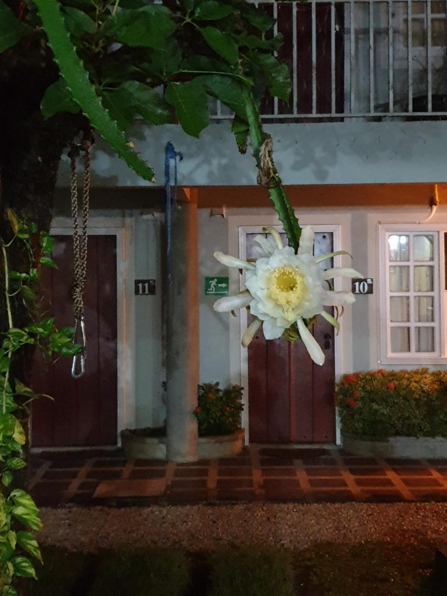 Hotel Либерия Екстериор снимка